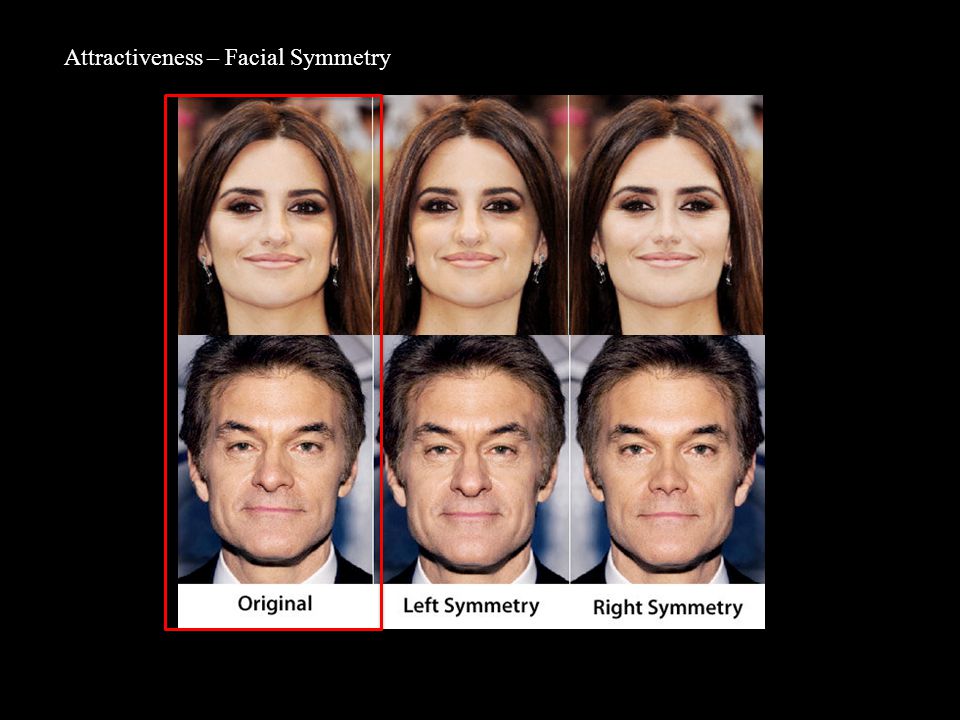 Facial Symmetry And Attractiveness 20