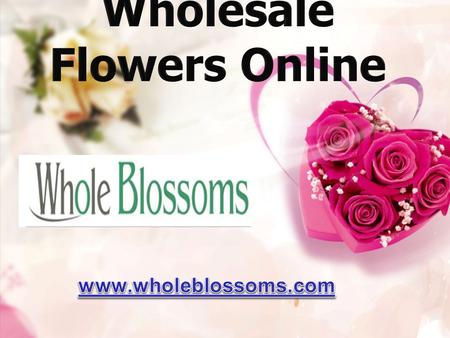 Wholesale Flowers Online - www.wholeblossoms.com