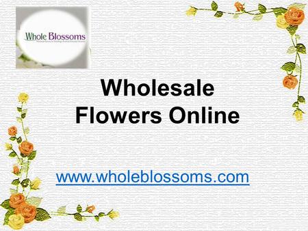 Wholesale Flowers Online - www.wholeblossoms.com
