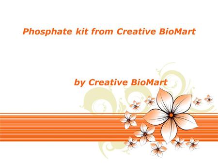 Page 1 Phosphate kit from Creative BioMart by Creative BioMart.