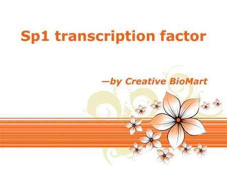Page 1 Sp1 transcription factor —by Creative BioMart.