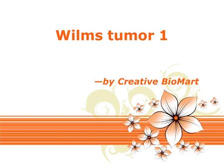 Page 1 Wilms tumor 1 —by Creative BioMart. Page 2 Official Full Name Wilms tumor 1 Background Wilm’s Tumor (WT), a sporadic and familial childhood kidney.