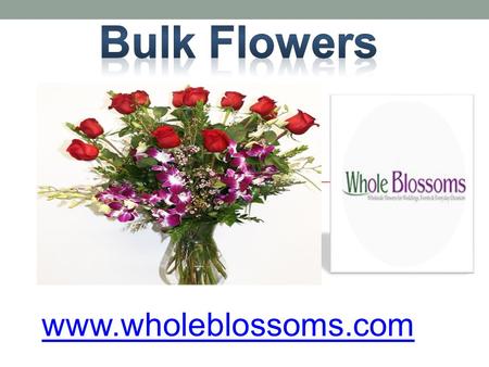 Bulk Flowers - www.wholeblossoms.com