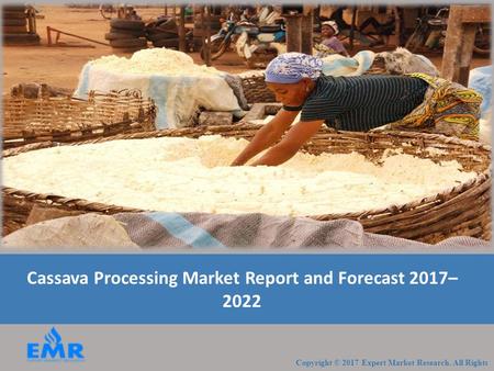 Cassava Processing Industry Report and Outlook 2017-2022