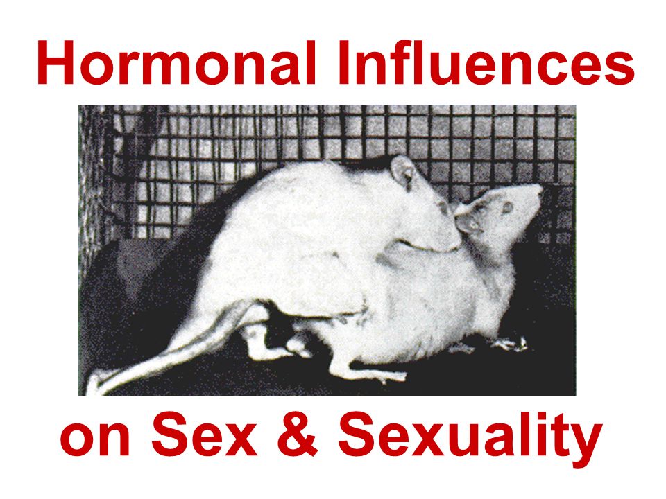 Hormones And Sexuality 114