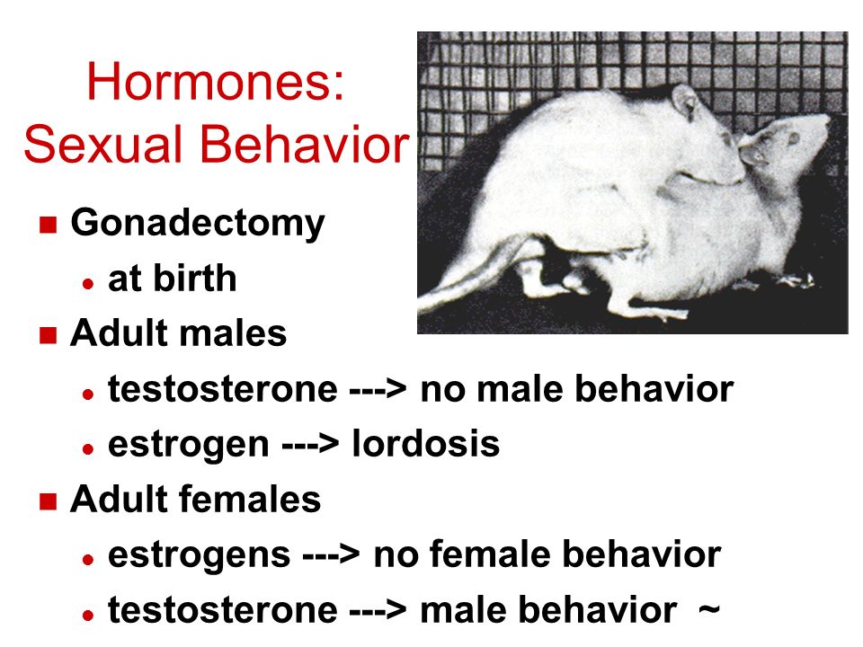 Hormones And Sexuality 47