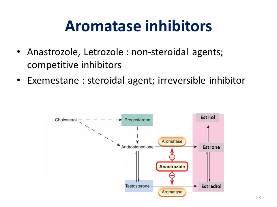 download neuroendocrine