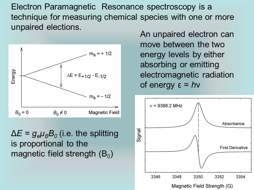 buy probability and statistical theory for applied researchers