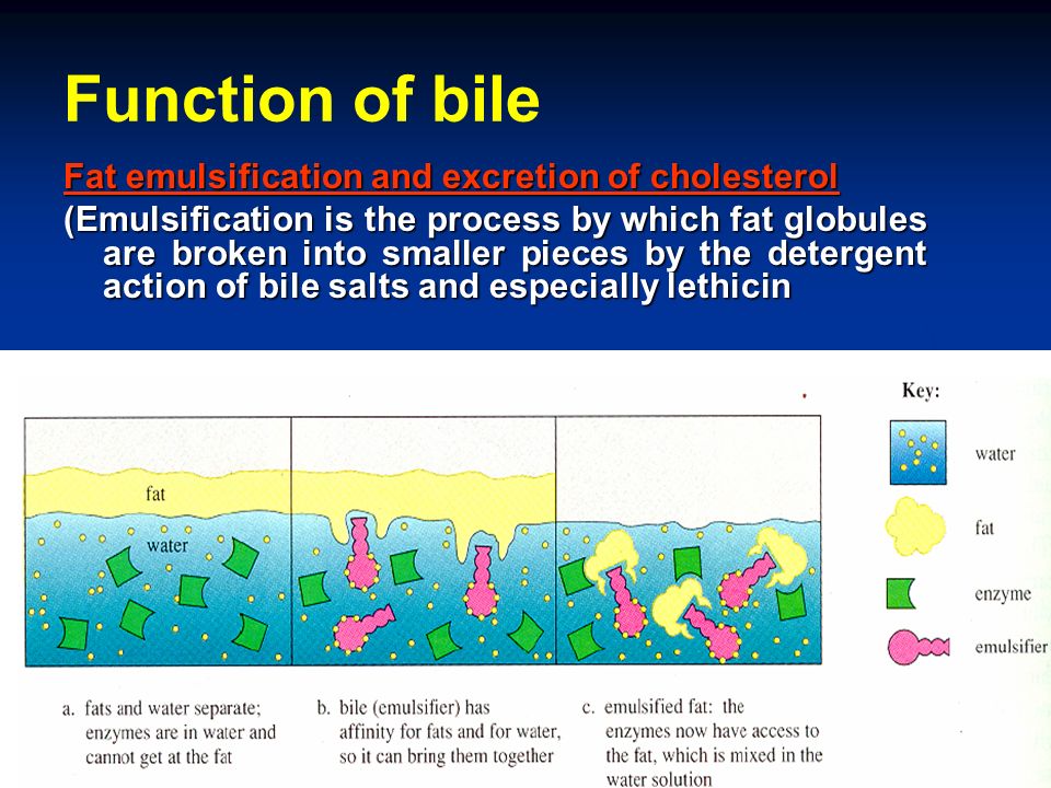 download Instruction Selection: Principles,