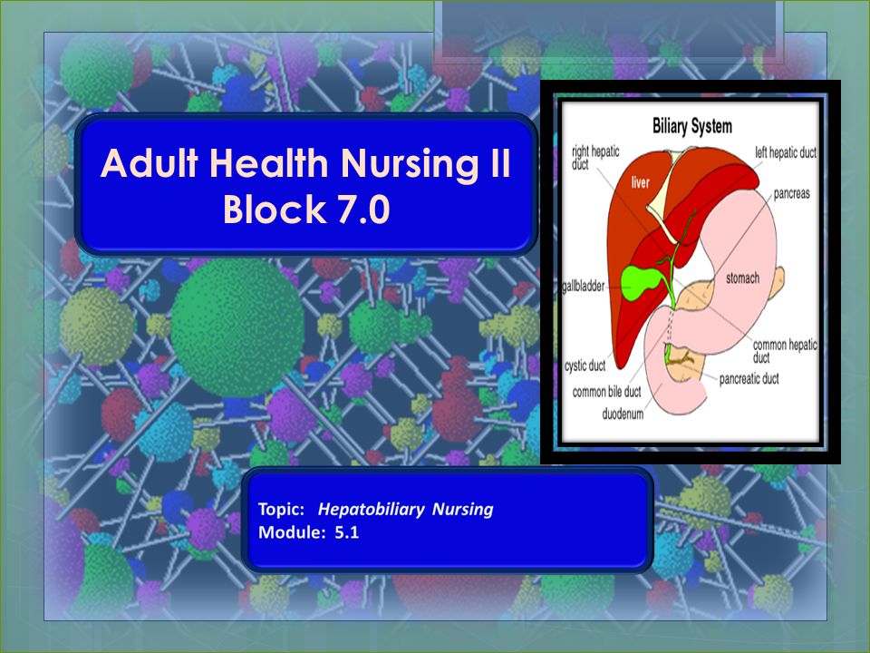 Adult Health Nursing 109
