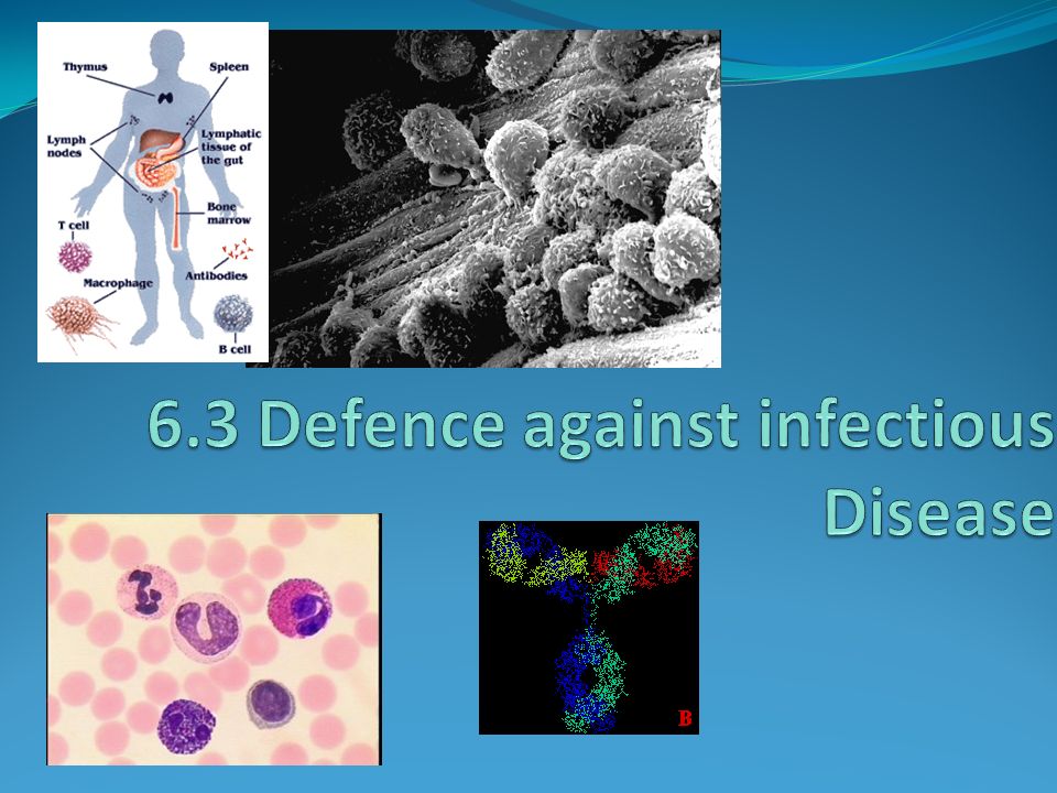 download chemosensors of ion and molecule