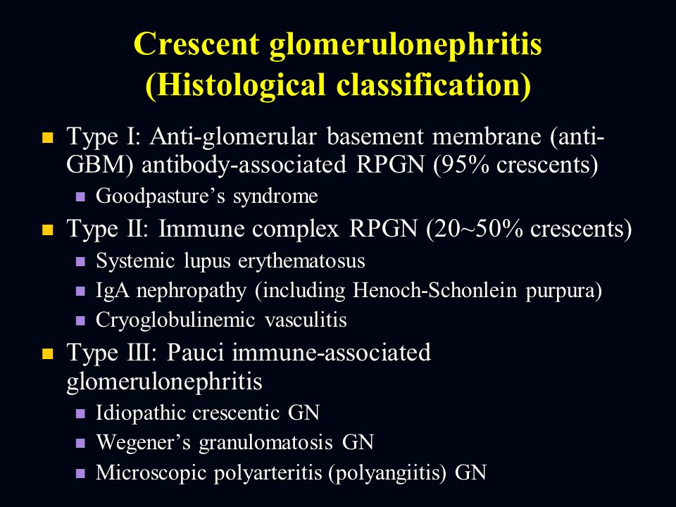 Anti Gbm Antibody Glomerulonephritis Diet