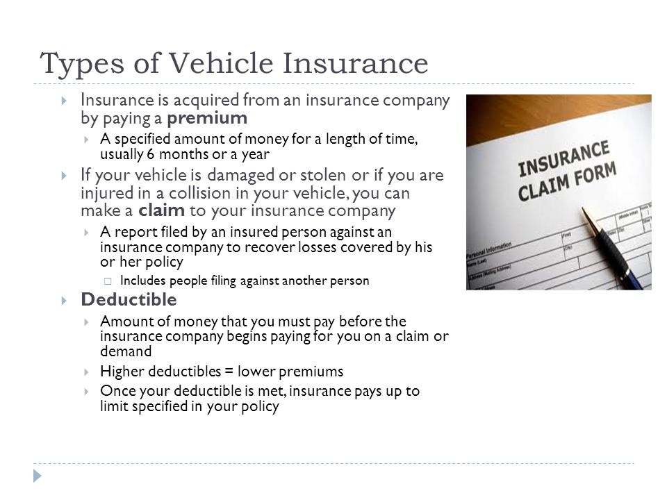 19 Model VIDEO Different Types Of Car Insurance | tinadh.com