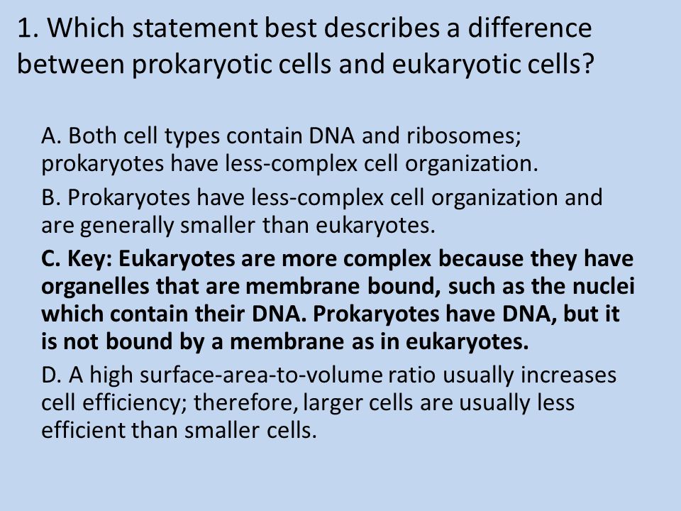 Prokaryotic and eukaryotic cells worksheet