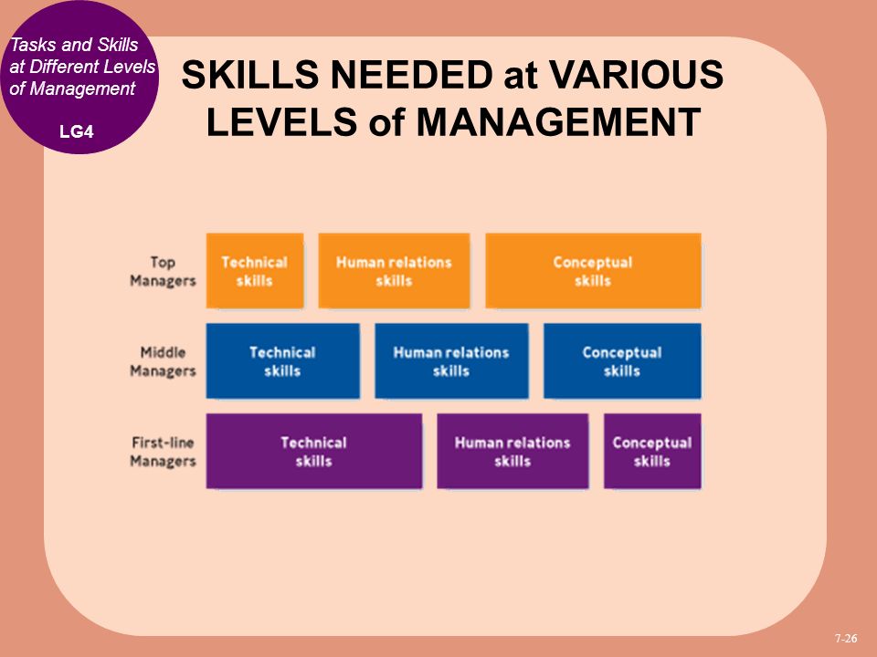 technical skills human skills and conceptual skills