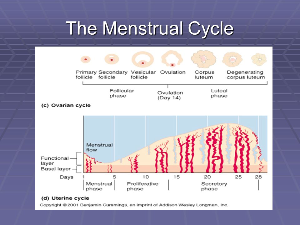 one of a kind ranges of cervix cancer