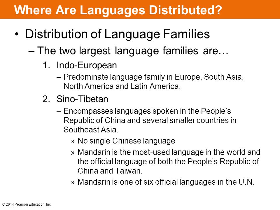 ebook the politics of difference ethnic premises in a world