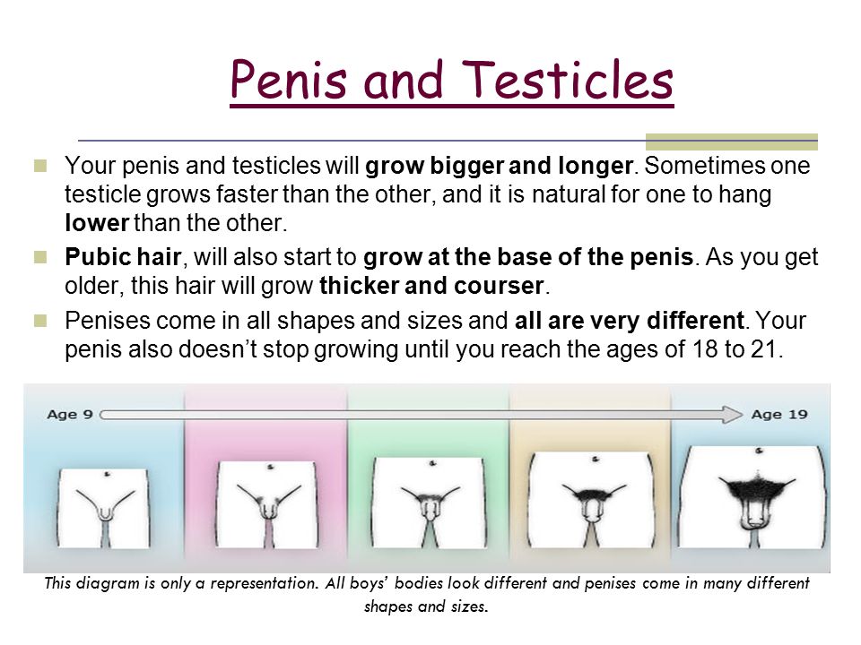 How To Make My Penis Larger Naturally 15