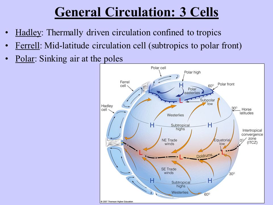 read biotechnology and