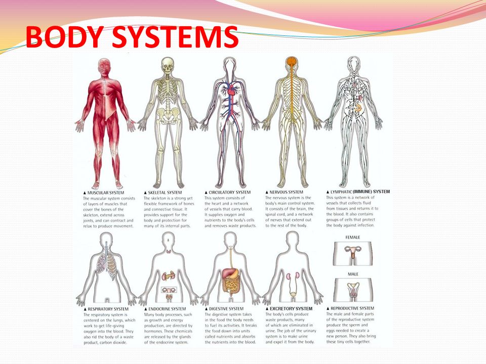 read organization and systems design theory of deferred