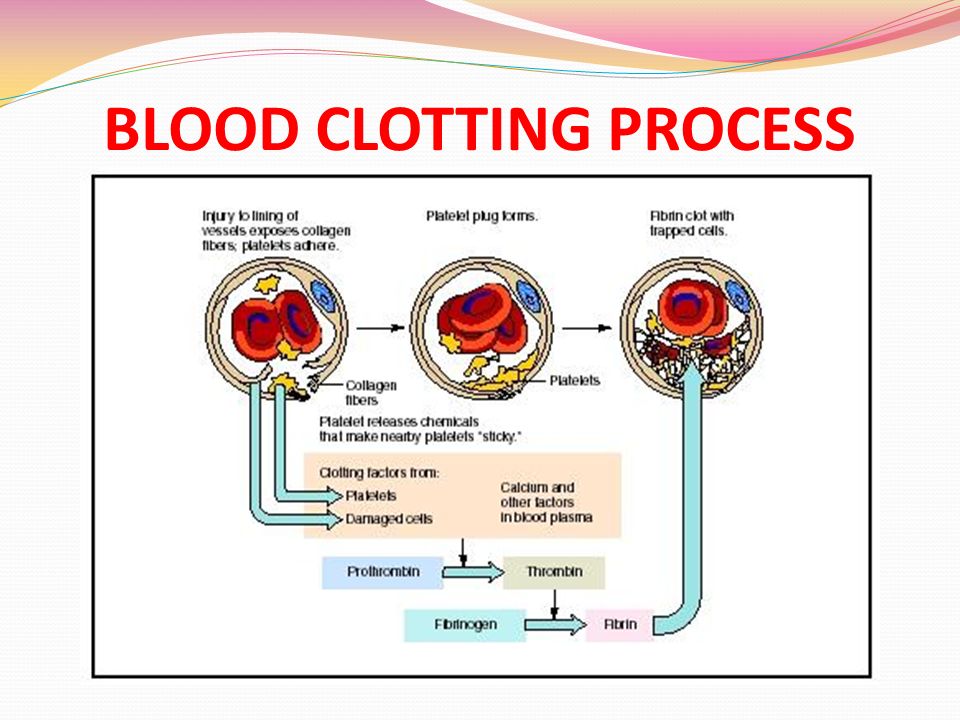 download control of chagas disease