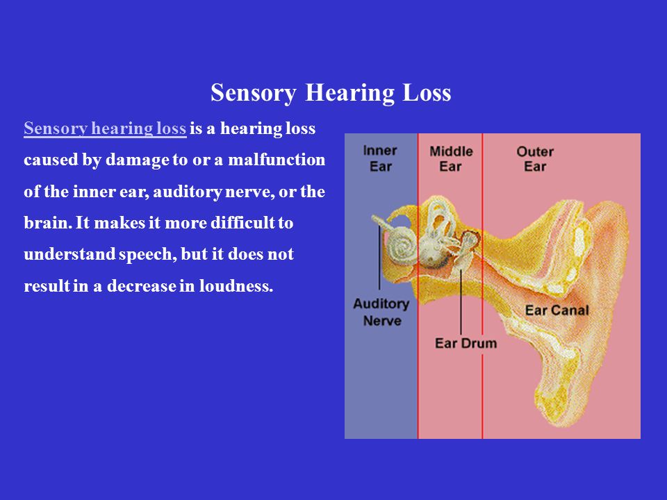 understanding sensory loss