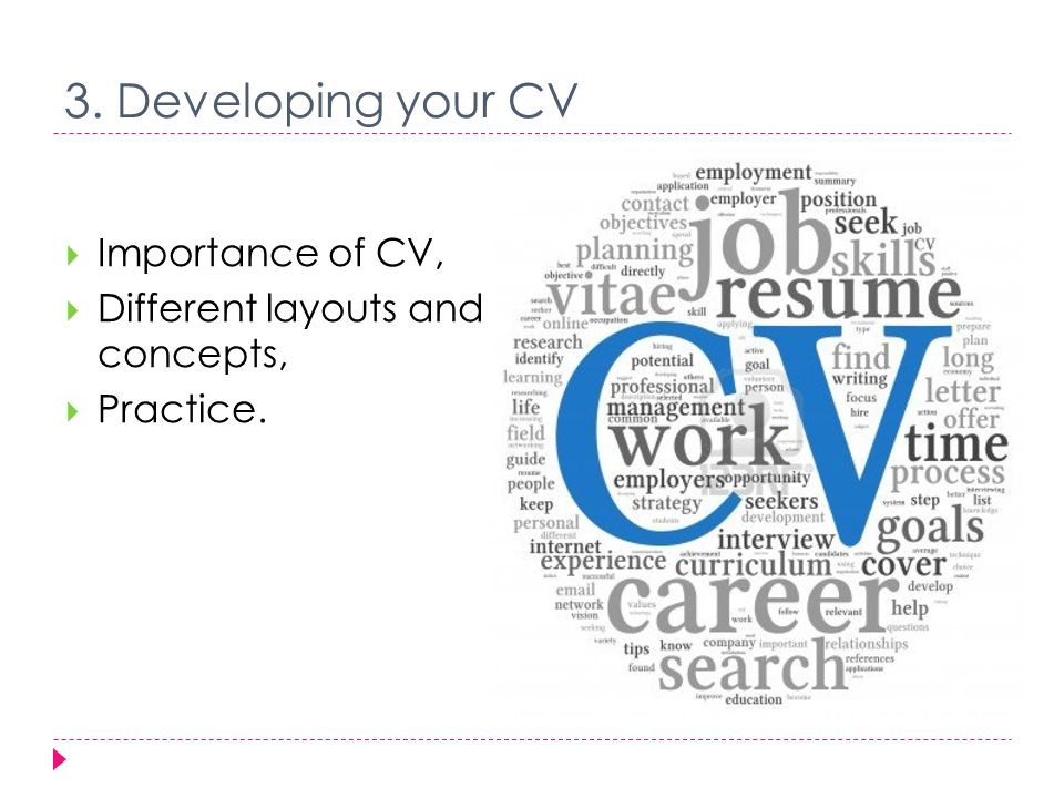 3  developing your cv importance of cv