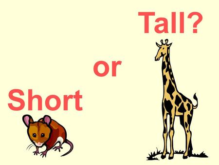 Short or Tall?. Short Tall Short Tall Short Tall. 3