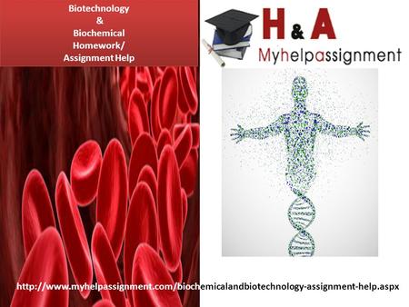 Biotechnology & Biochemical Homework/ Assignment Help Biotechnology & Biochemical Homework/ Assignment Help