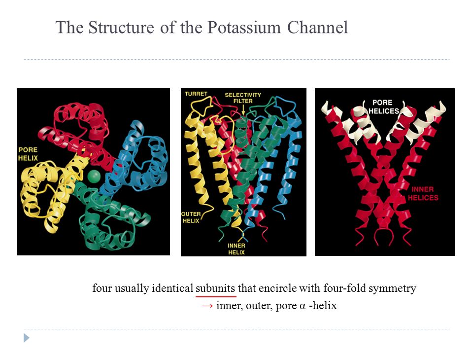 download microbial resources for sustainable energy