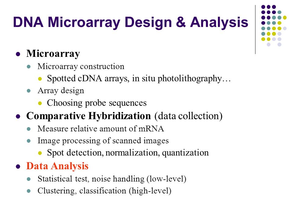 pdf Dimensions of the