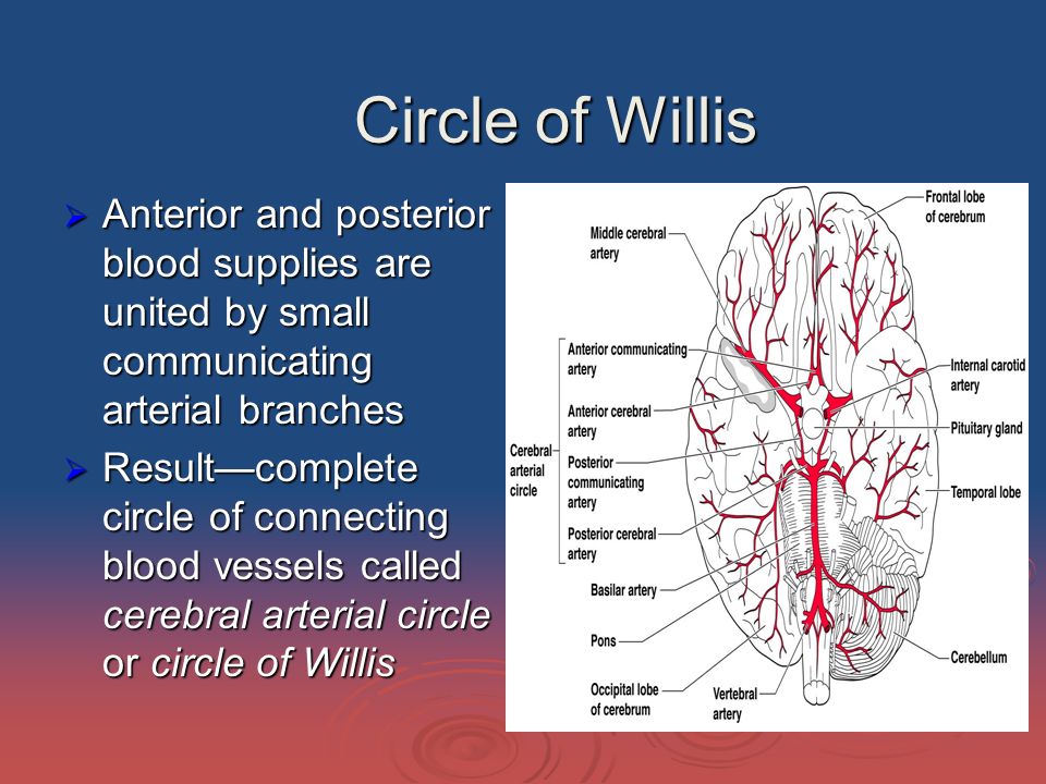 download fundamentals of chemical