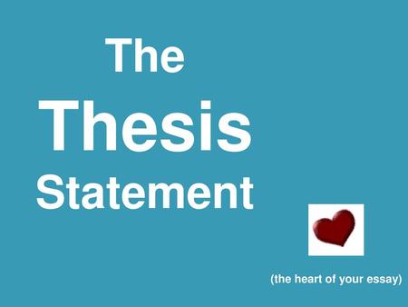 (the heart of your essay)