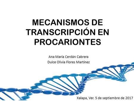 MECANISMOS DE TRANSCRIPCIÓN EN PROCARIONTES Ana María Cerdán Cabrera Dulce Olivia Flores Martínez Xalapa, Ver. 5 de septiembre de 2017.