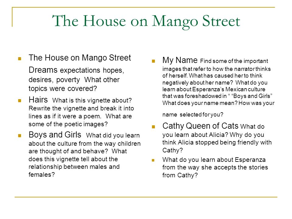 the house on mango street analysis