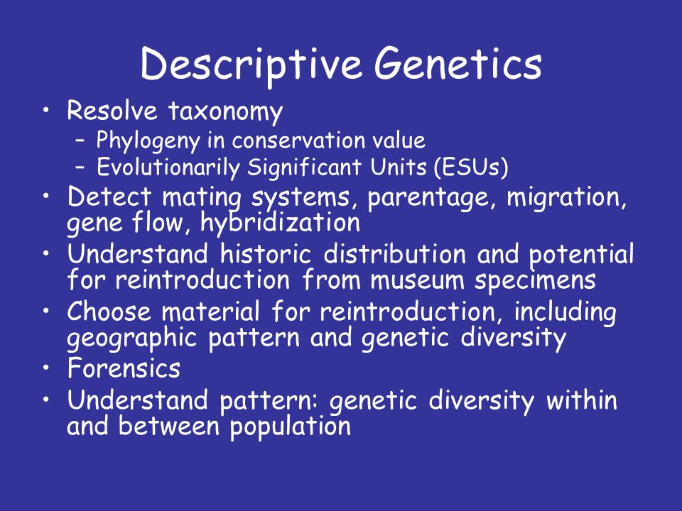 financial terms dictionary terminology plain and simple