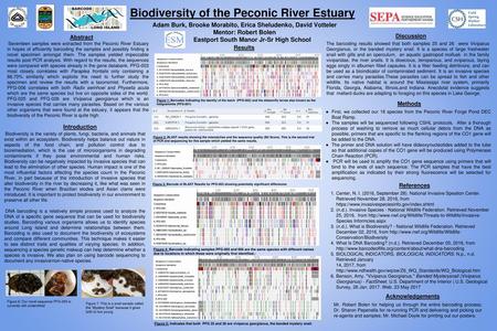 Biodiversity of the Peconic River Estuary