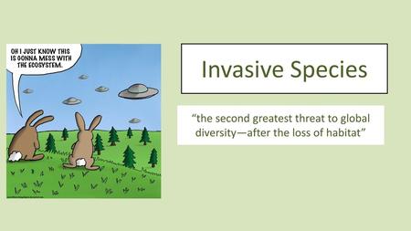 Invasive Species “the second greatest threat to global diversity—after the loss of habitat”