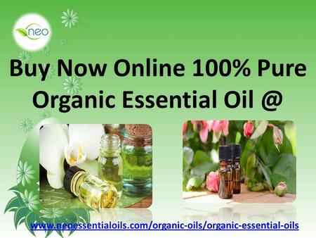 Buy Now Online 100% Pure Organic Essential