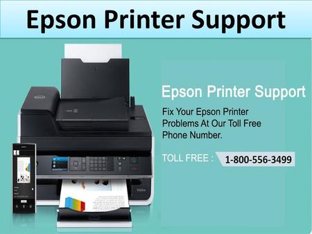 Epson Printer Customer Support 1-800-556-3499 Phone Number