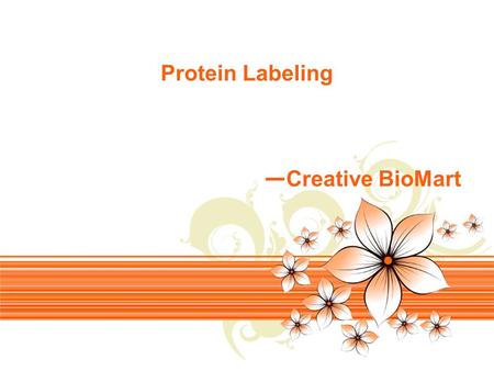 Page 1 Protein Labeling — Creative BioMart. Page 2 Our custom protein labeling & conjugation service provides personalized solutions designed to supply.