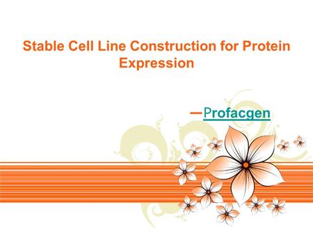 Page 1 Stable Cell Line Construction for Protein Expression —P rofacgenP rofacgen.