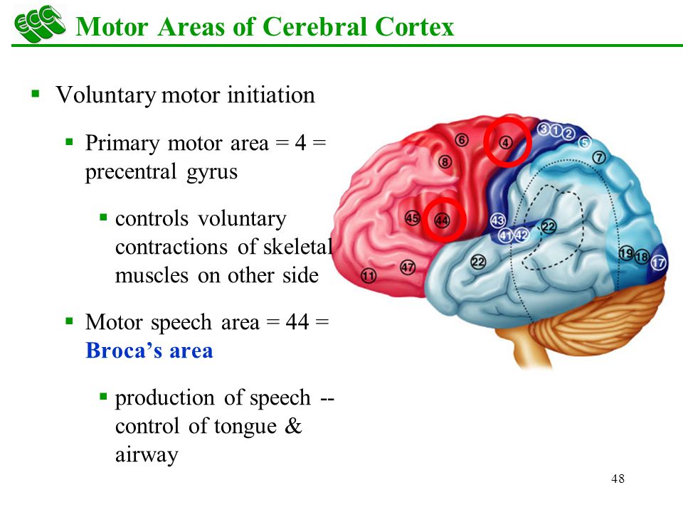 download cognitive behavioural therapy research