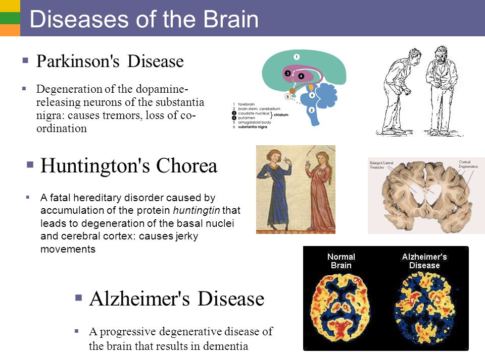 free ostracodology linking bio