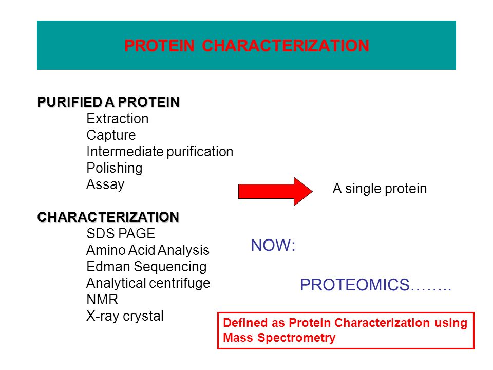 download structural biology of dna