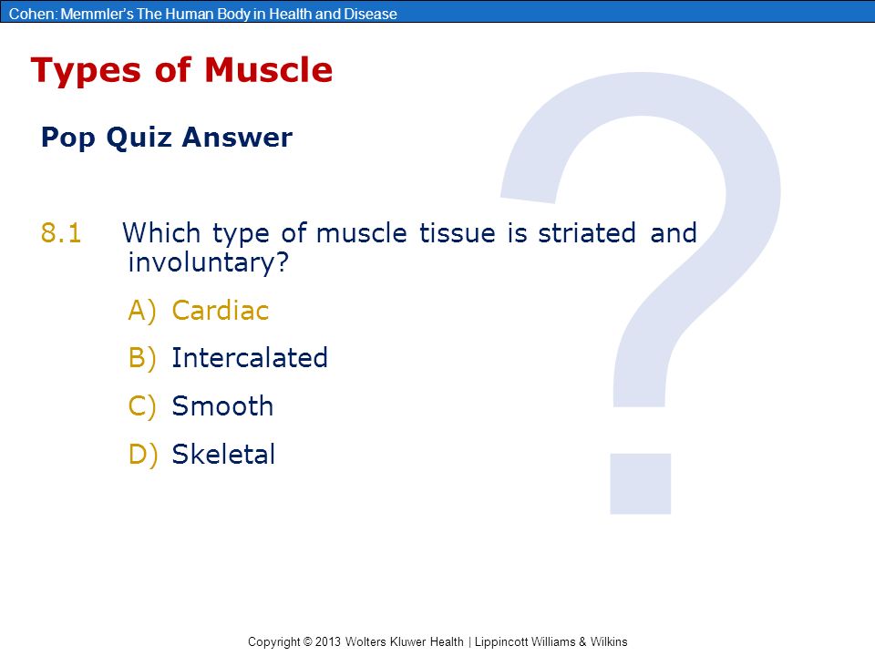 chapter 8: the muscular system