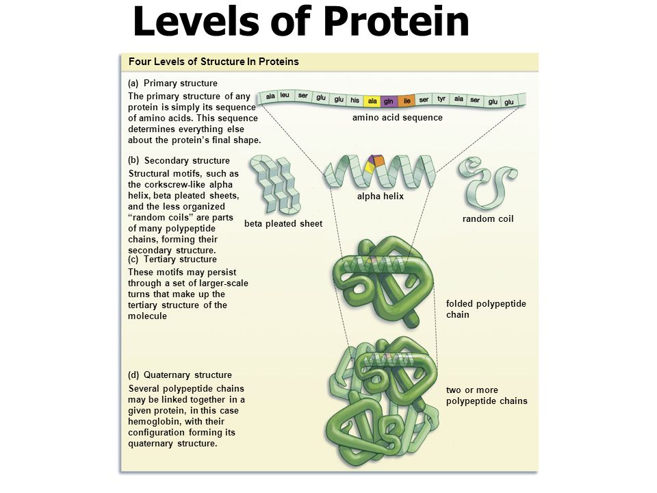 What Are Organic Molecules Ppt Video Online Download