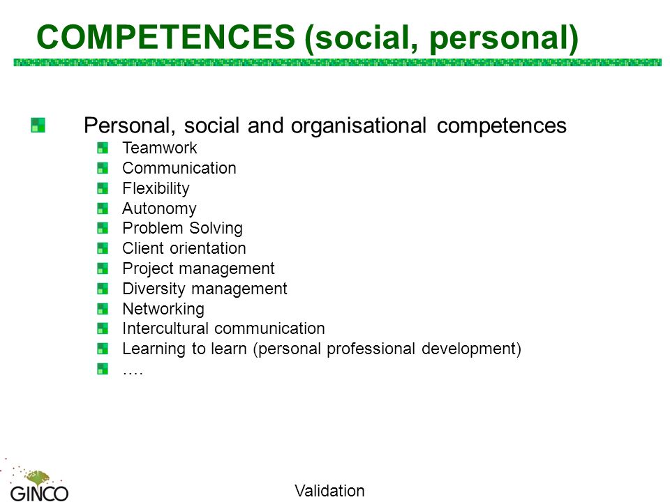 cv examples organisational skills and competences
