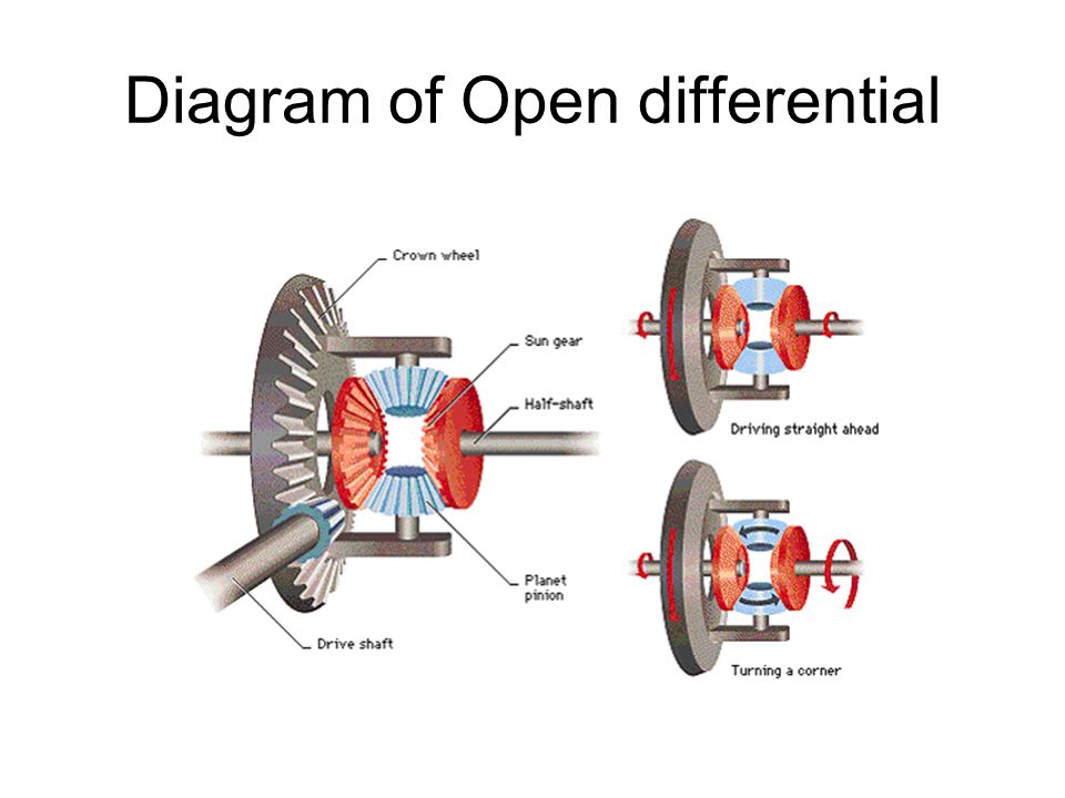 download vertebrate circadian systems structure