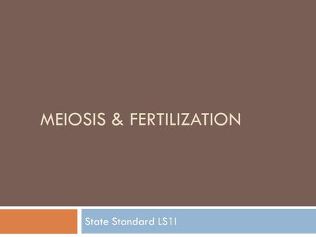 Meiosis & Fertilization